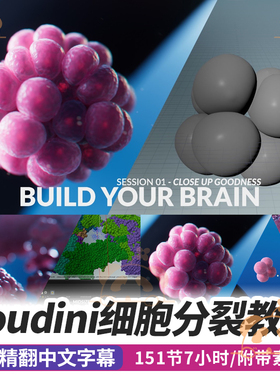 Houdini细胞分裂课程模拟生长分割POP粒子SOP构建你的大脑教程RS