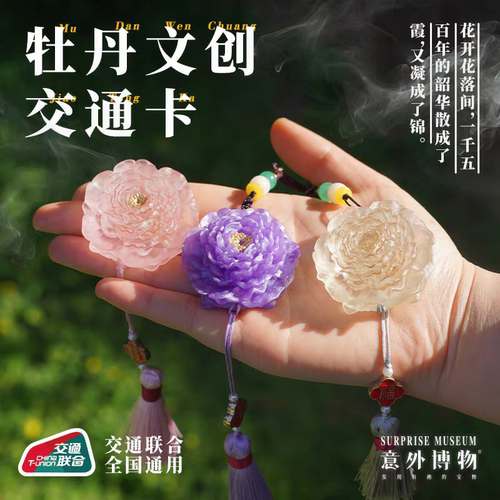 全国交通联合一卡通限定版交通卡