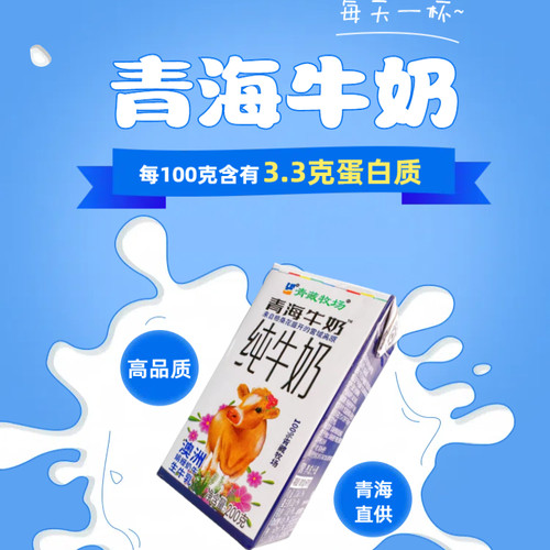 青海纯牛奶澳洲娟姗奶牛生牛乳