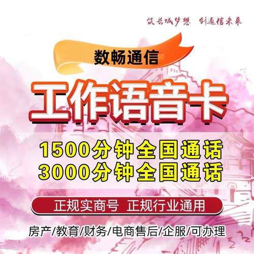 手机电话卡分钟数多超长通话卡语音卡2000分钟快递外卖骑士手机卡