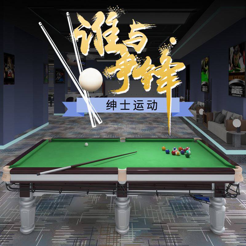 银腿乔氏标准中式八球斯诺克台球桌家用商用国标九球比赛用桌球台