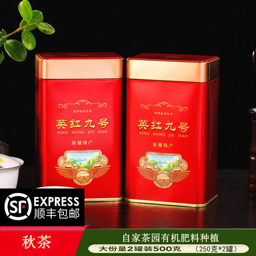 白露茶英德红茶英红九号浓香型