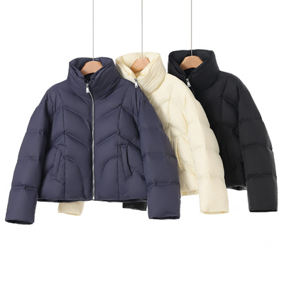 专柜1999【栗】冬装 立领防风高挑显年轻短羽绒服527