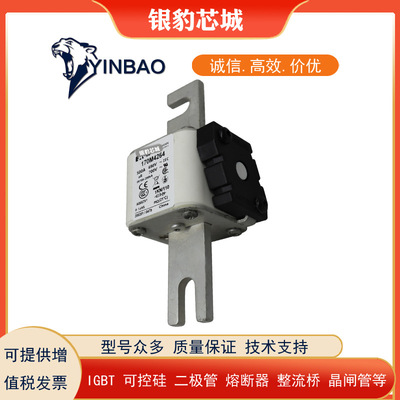 170M6263 170M6264 170M6265 170M6266 170M6267全新熔断器保险丝