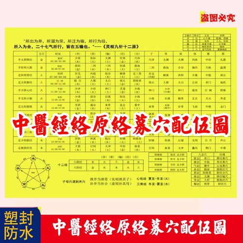 中医针灸经络十二经脉五输穴时辰五行子母补泻原络募穴配伍图表
