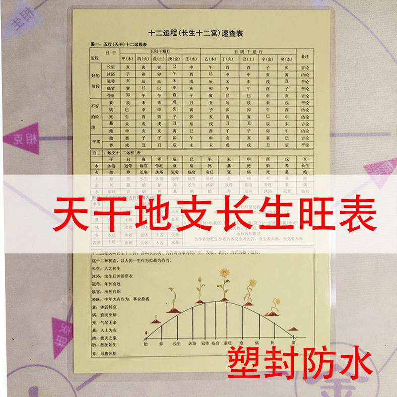 天干地支長生訣生旺表