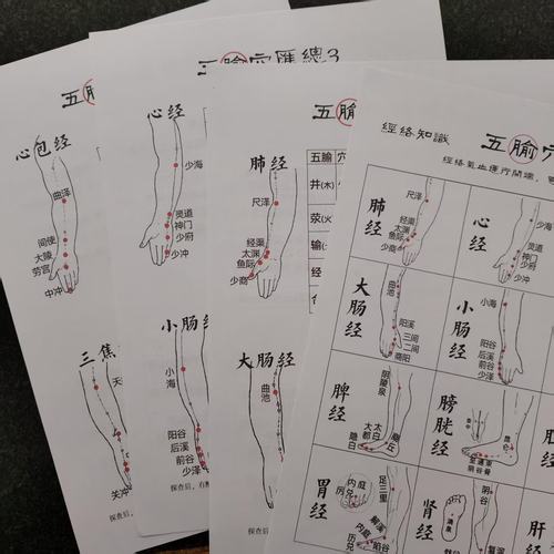 中医针灸经络十二经脉五输穴汇总及解析