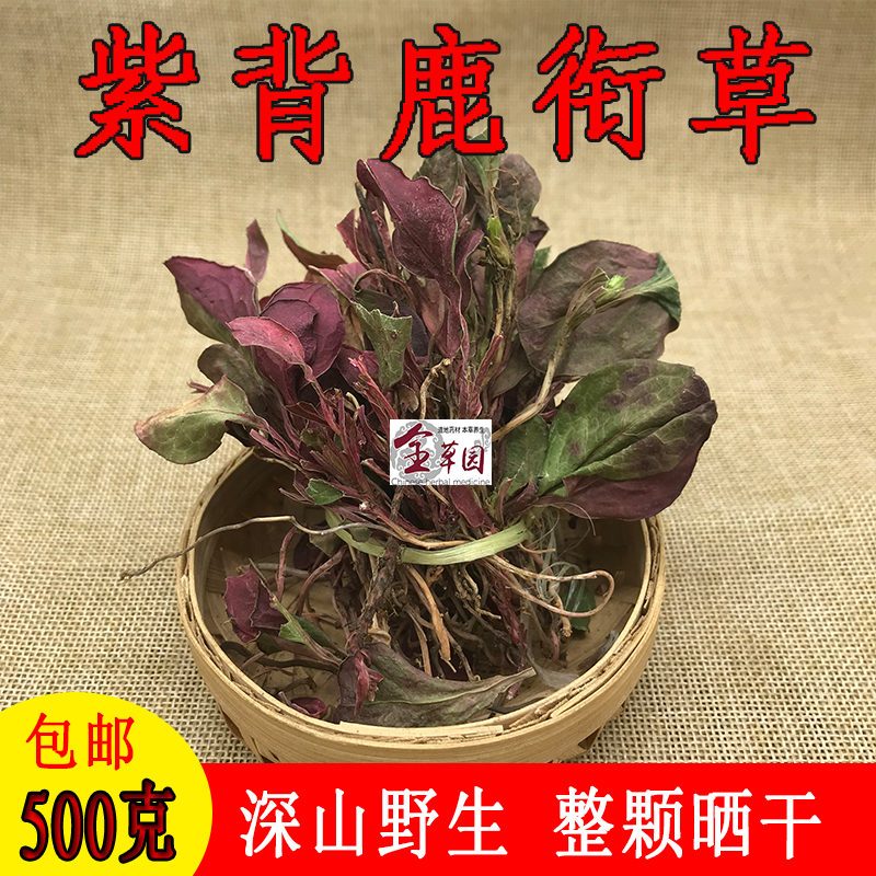 云南中药材鹿晗草 紫背鹿衔草 鹿蹄草 鹿寿茶 紫背鹿含草正品包邮