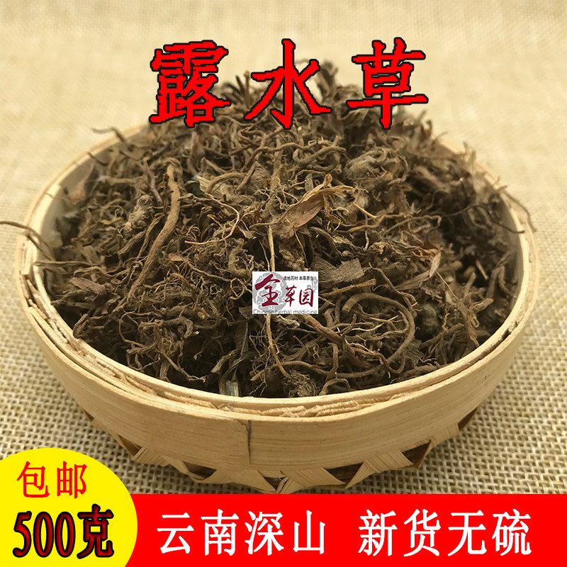 云南中药材露水草 鸡冠参 换肺草 露水草根 珍珠露水草500克包邮