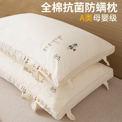 全棉软枕头不塌陷不变形睡觉枕头男士高家用枕芯一对装整头枕单只