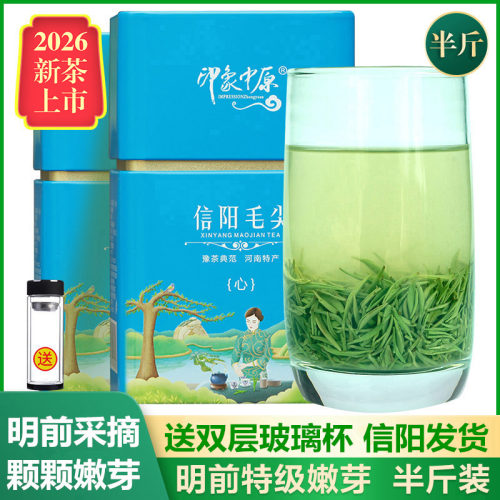 信阳毛尖2026新茶明前嫩芽250g