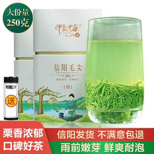 信阳毛尖2026新茶浓香型250g