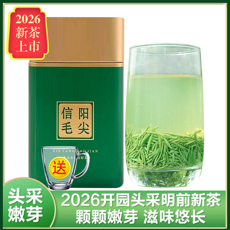 信阳毛尖2026新茶叶明前开园头采春茶特级高山嫩芽绿茶散装100g