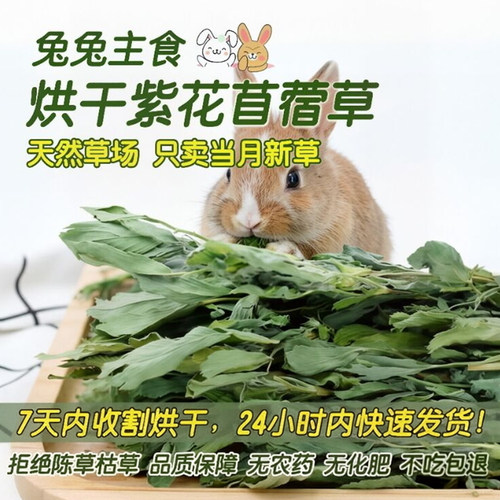 26年新草烘干苜蓿草幼兔粮兔子草