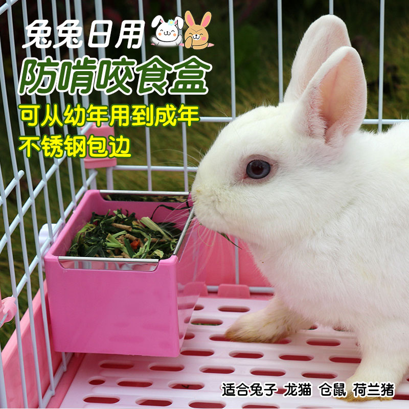 两只兔兔子用品幼兔食盒防扒悬挂
