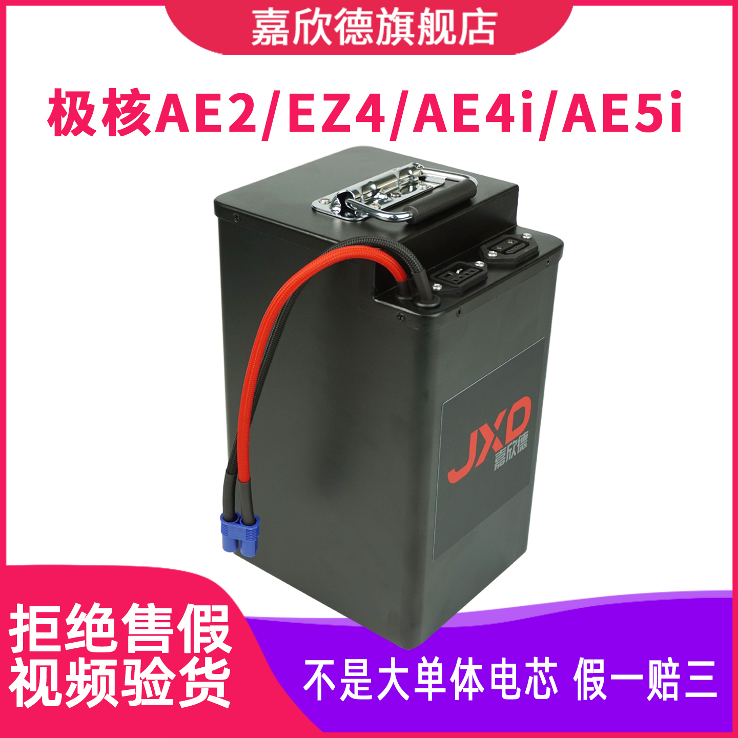适用于极核全系48V72V锂电池