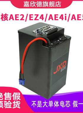 嘉欣德适用于极核AE272V电动车锂电池 EZ4 AE5i锂电池 AE4SE/EZ3i