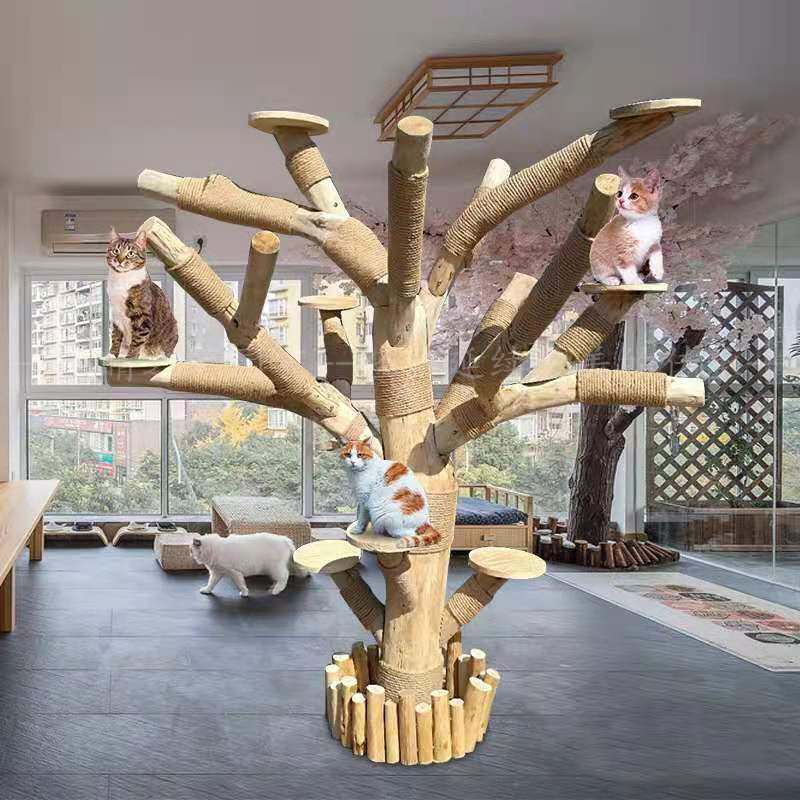 什么树适合做猫爬架,做猫爬架用什么木头好,树枝猫爬架图片大全(第14页)_大山谷图库