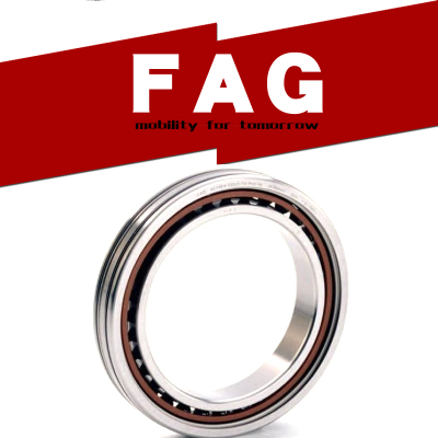 FAG QJ212进口QJ213德国QJ214空压机轴承-N2-MPA/-XL-TVP
