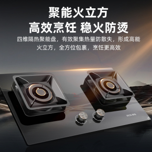 樱雪燃气灶具Q2588定时保洁煤气灶5.2火力双灶家用天然气炉液化气