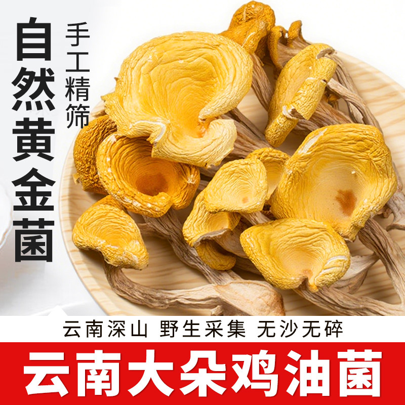 云南鸡油菌干货特产蘑菇香菇黄金菇榆黄菇黄丝菌山珍野生菌子食材