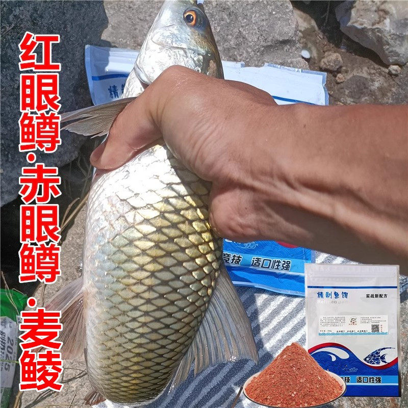 鸿运自制鱼饵麦鲮鱼食野钓赤眼鳟饵料水库红眼鳟钓饵自制配方散炮