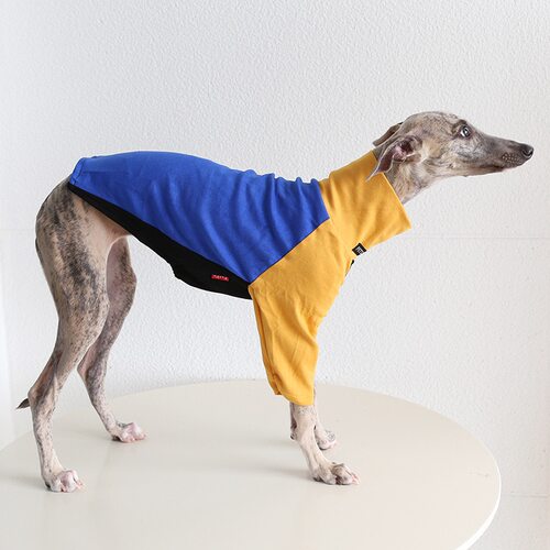 宠物衣服三彩多维打底衫意大利小灵缇惠比特中小型犬灰狗细长猫狗