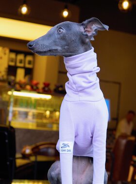 狗狗细狗小灵缇犬惠比特贝灵顿梗犬T恤打底保暖宠物衣服