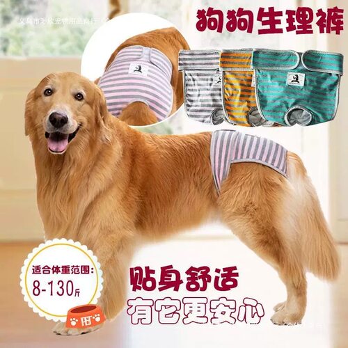 宠物生理裤中大型犬边牧胖狗月经裤狗狗防骚扰狗狗姨妈裤