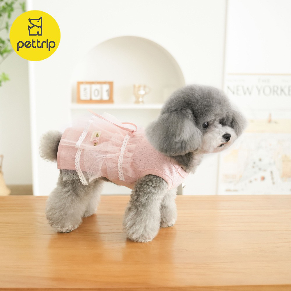 春夏新款宠物裙子狗狗猫咪连身裙狗宠物服装/雨衣