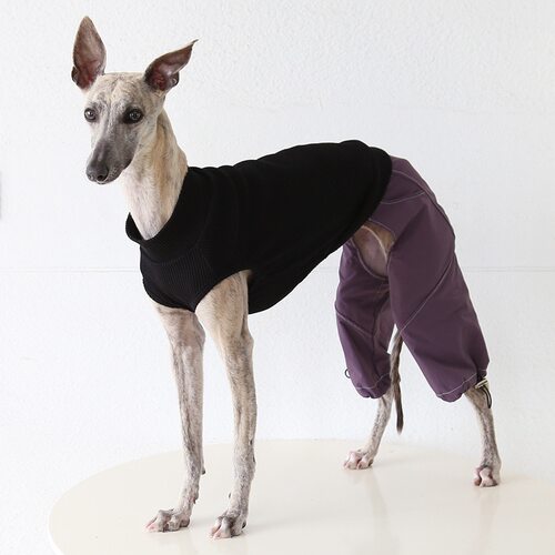 Petstyle 暗夜紫机能阔腿裤 意大利小灵缇惠比特宠物衣服拼色套装