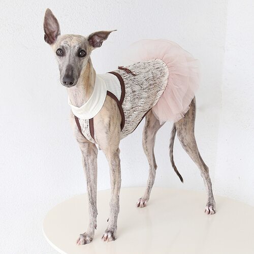 Petstyle 美拉德复古纱裙 意大利小灵缇惠比特宠物衣服可爱公主裙