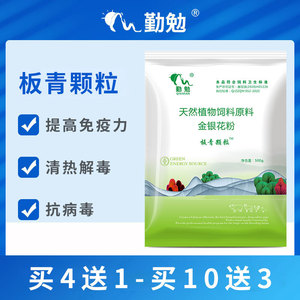 板青颗粒 兽用 清热解毒预防感冒咳嗽 板青颗粒猪用 板青颗粒羊用