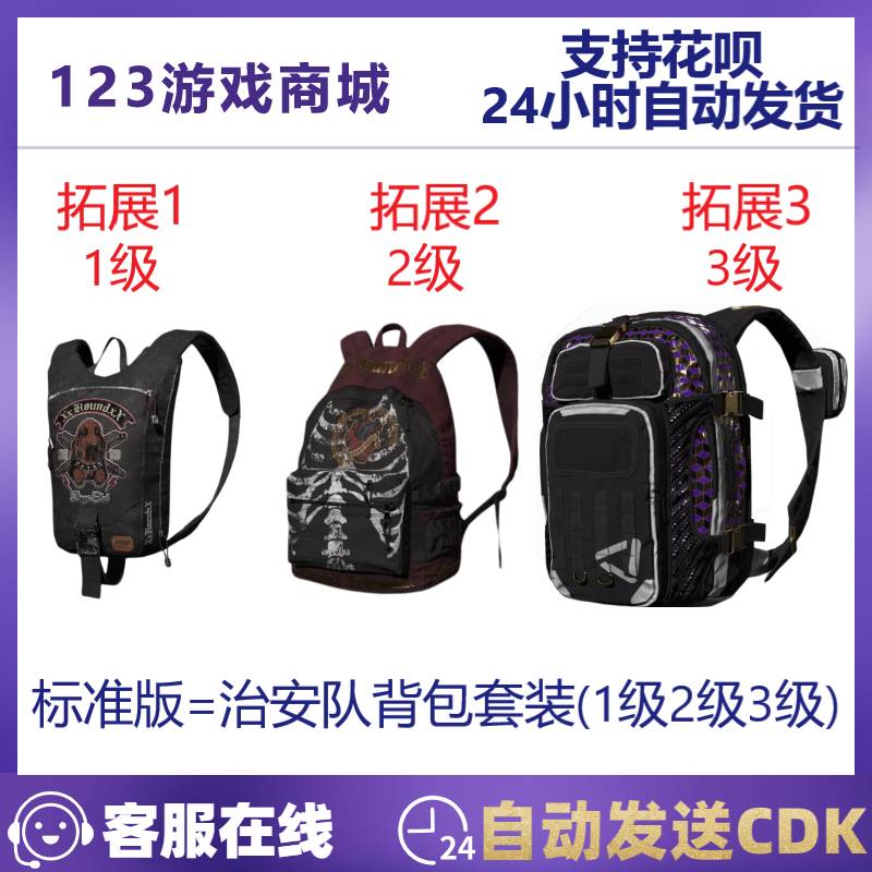 PUBG绝地求生皮肤 治安队背包礼包套装2级3级二三级吃鸡兑换码CDK