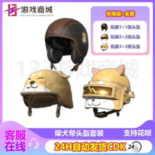PUBG绝地求生柴犬帮头盔套装 CDK 一级二级三级1级2级3级皮肤兑换码