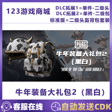 PUBG绝地求生奶牛牛年装备大礼包二2级背包头盔端游吃鸡兑换码CDK