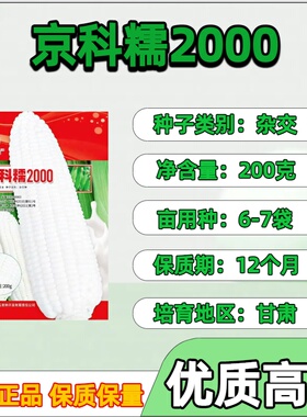 农科玉京科糯2000非转基因玉米种子白糯玉米苞米种子大棒型原装