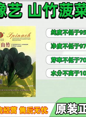 豫艺山竹菠菜种子厚叶耐热种子菠菜种子圆叶大叶杂交菠菜种子正品