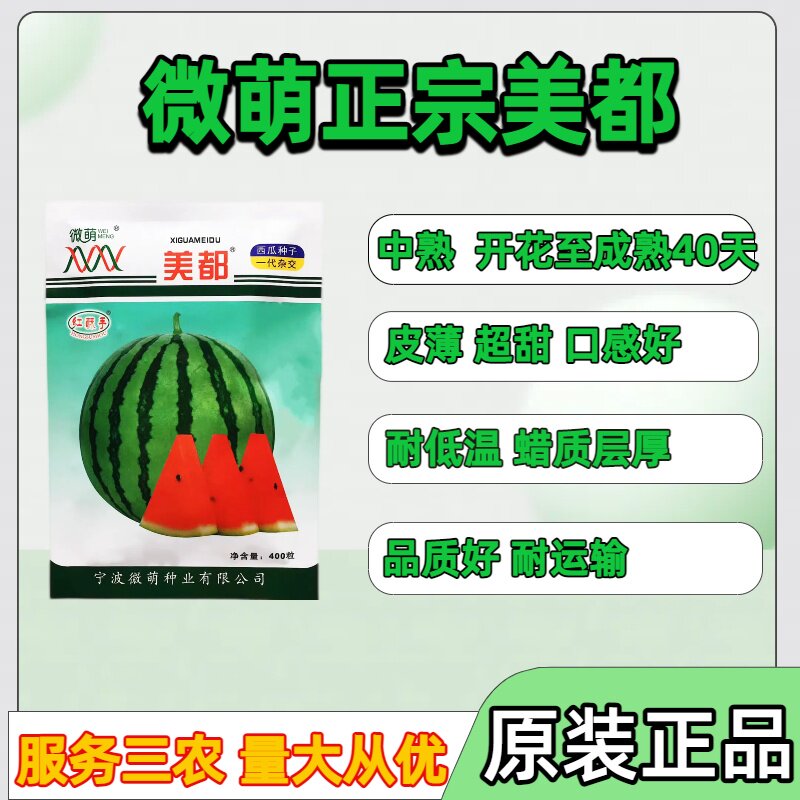 正宗浙江宁波微萌美都西瓜种子口感好吃耐裂抗病美都西瓜种子原种