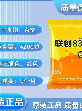 北京联创839高产玉米种子改良基因种子耐涝耐旱耐高温黄金粮苞米