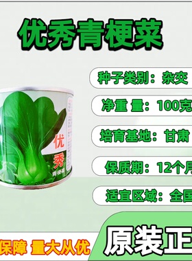 优秀青梗菜种子苏州青上海青小青菜种子抗热耐寒四季种植青菜种子