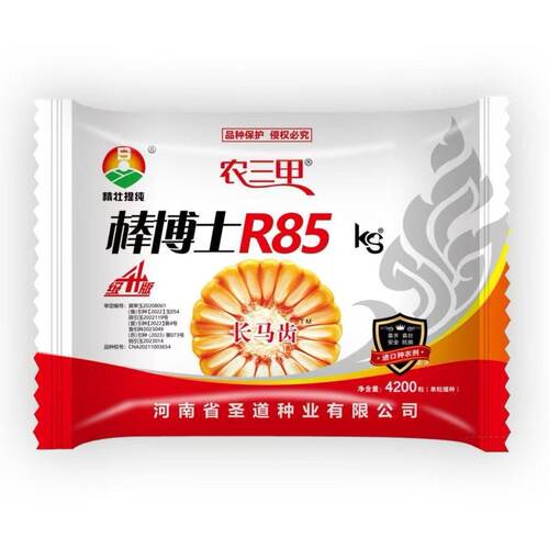 农三甲棒博士R85KS升级版玉米种