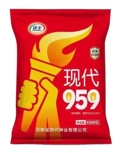 农科院现代959玉米种子正品大棒高产抗病抗涝国审新品种玉米种子
