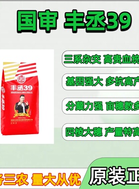 国审丰丞39小麦种子优质高筋矮杆抗倒高产冬小麦种籽农科院培育
