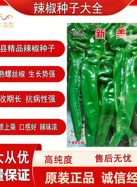 萧县辣椒种子 新美特大牛角辣椒种大果微辣蔬菜种子高产抗病大田