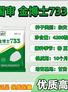 金博士733高产玉米种子矮杆大棒耐高温抗虫抗病抗旱高产苞米种子