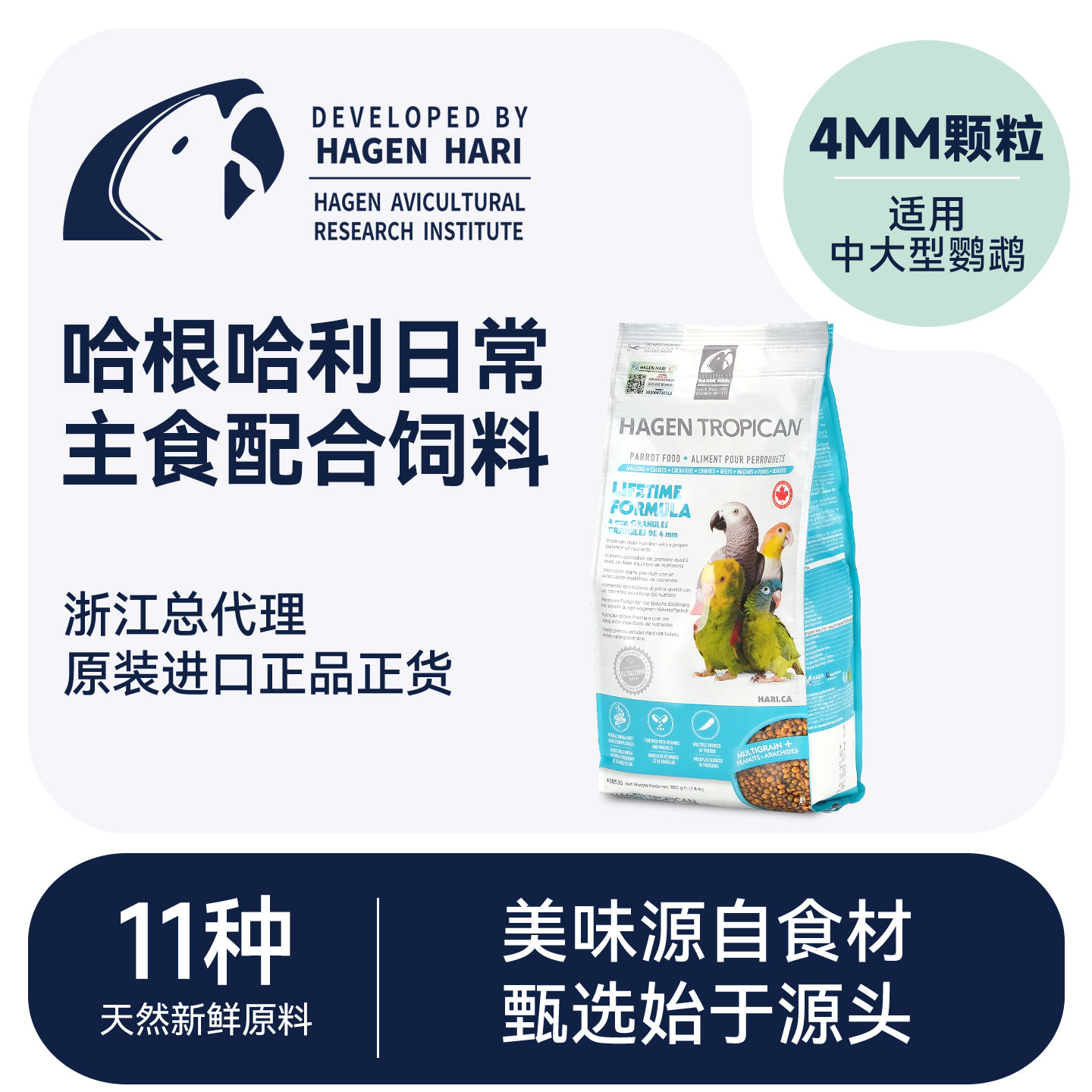 中大型鹦鹉饲料灰鹦鹉金刚滋养丸