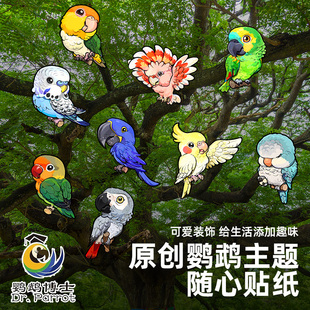 鹦鹉系列创意贴纸金刚鹦鹉葵花和尚凯克小太阳鹦鹉周边立体随意贴