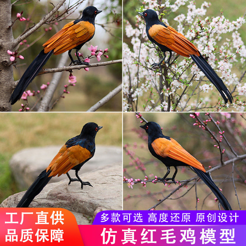 新品仿真羽毛红毛鸡假媒道具原创假鸟工艺品摄影展馆教学模型43cm