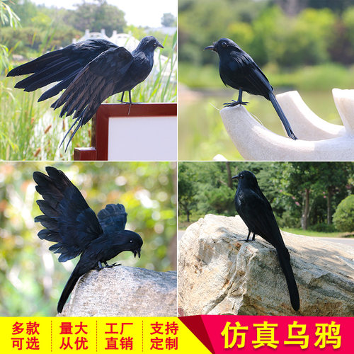 万圣节乌鸦道具羽毛cosplay摄影
